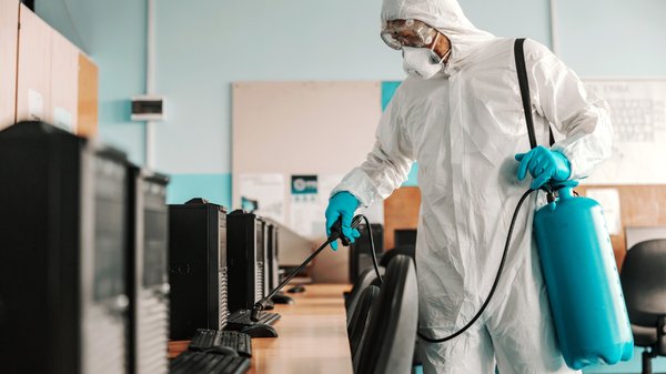 Comment se passe la dératisation professionnelle en entreprise ?